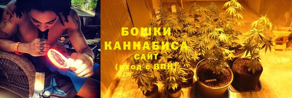 СК Вяземский