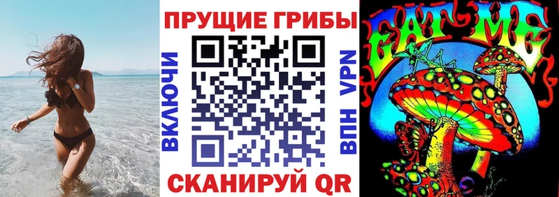 Псилоцибиновые грибы Magic Shrooms где купить наркоту Камбарка